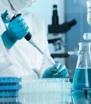 SERVIÇOS EM HOSPITAIS, LABORATÓRIOS,CLINICAS E ETC.