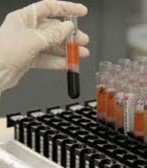 SERVIÇOS EM HOSPITAIS, LABORATÓRIOS,CLINICAS E ETC.